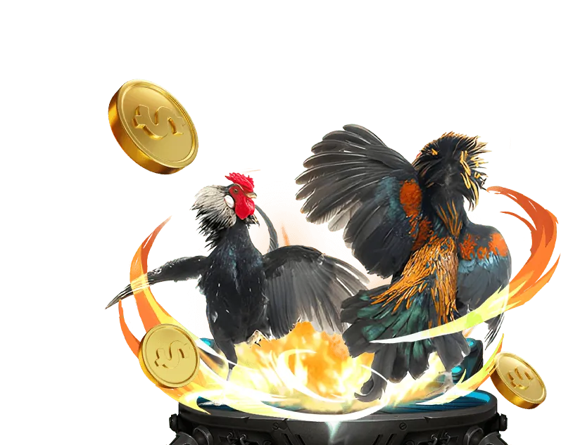 Hoàn trả cược th77